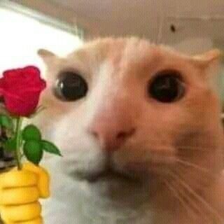 RubenD