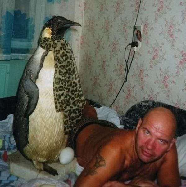Stinkfist