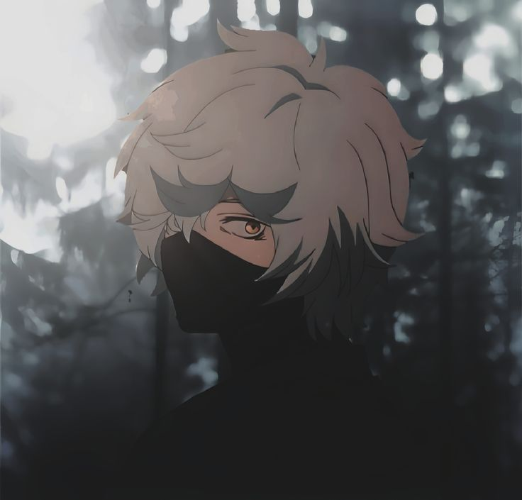 Chiwipi